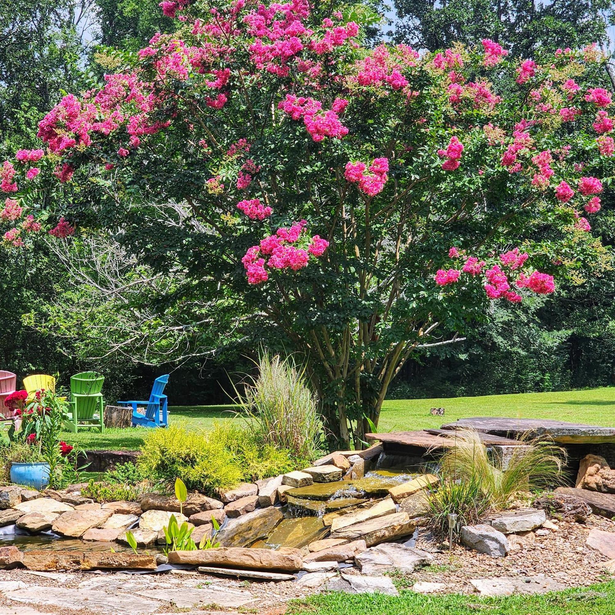 Russellville Sisters On Sycamore B&B المظهر الخارجي الصورة
