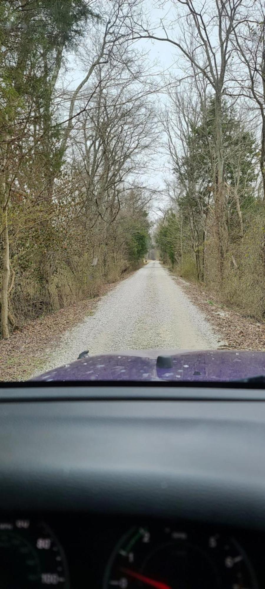 Russellville Sisters On Sycamore B&B المظهر الخارجي الصورة